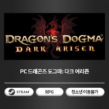 [24시간 코드 발송] PC 드래곤즈 도그마: 다크 어리즌